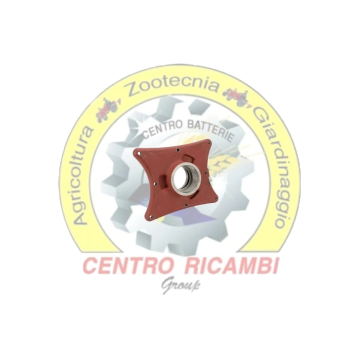 CUSCINETTO