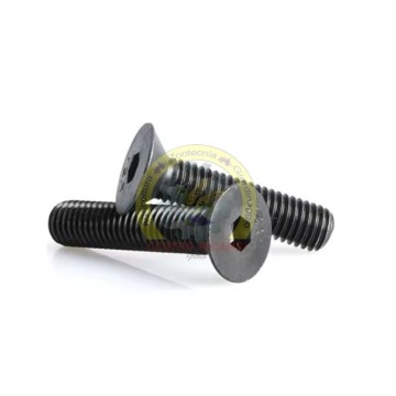 BULLONE 10X30 TESTA SVASATA...