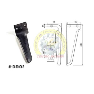 DENTE ERPICE MASCHIO DESTRO...