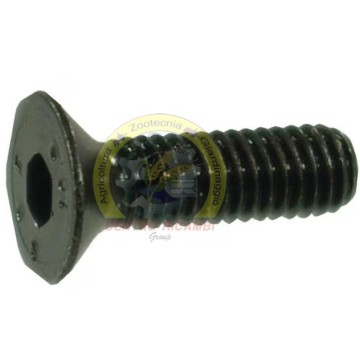 VITE TESTA SVASATA 14X50...