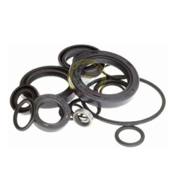 ANELLO PARAOLIO