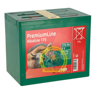 BATTERIA  ALKALINA 9 V 170 AH
