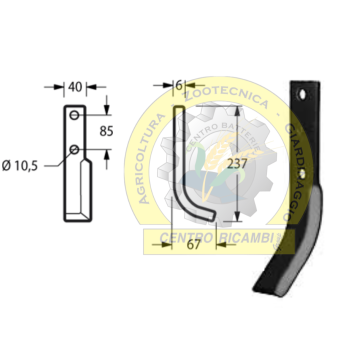 zappa dx MAB Curva Lunga