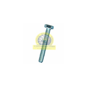 VITE T.E. ZINC. 8.8 8X30...